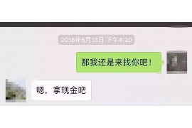 平阳为什么选择专业追讨公司来处理您的债务纠纷？