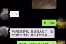 平阳如何避免债务纠纷？专业追讨公司教您应对之策